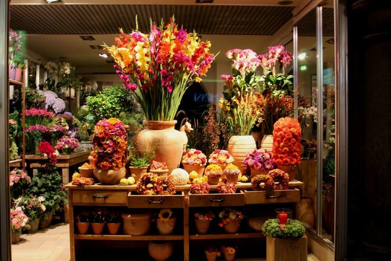 Цветы В Цветочном Магазине Названия И Фото